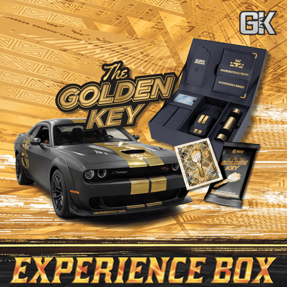 Series 4 The Experience Box from Based Trading Cards