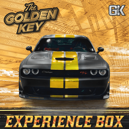 Series 4 The Experience Box product image 3